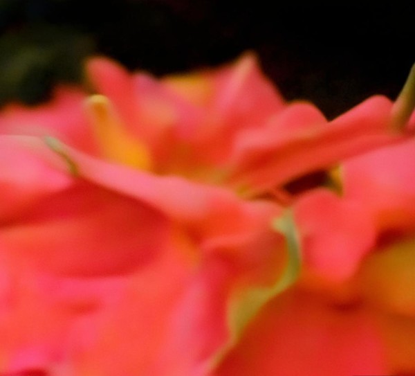 新能源产品走进千家万户，绿色生活的日常新篇章